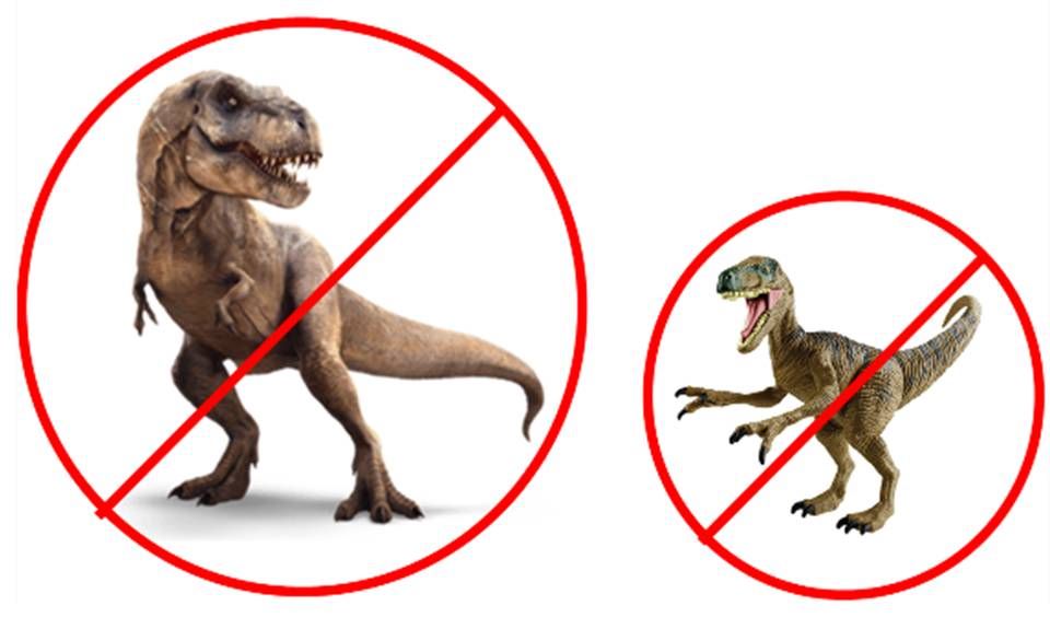 Picture T-rex and Velociraptor