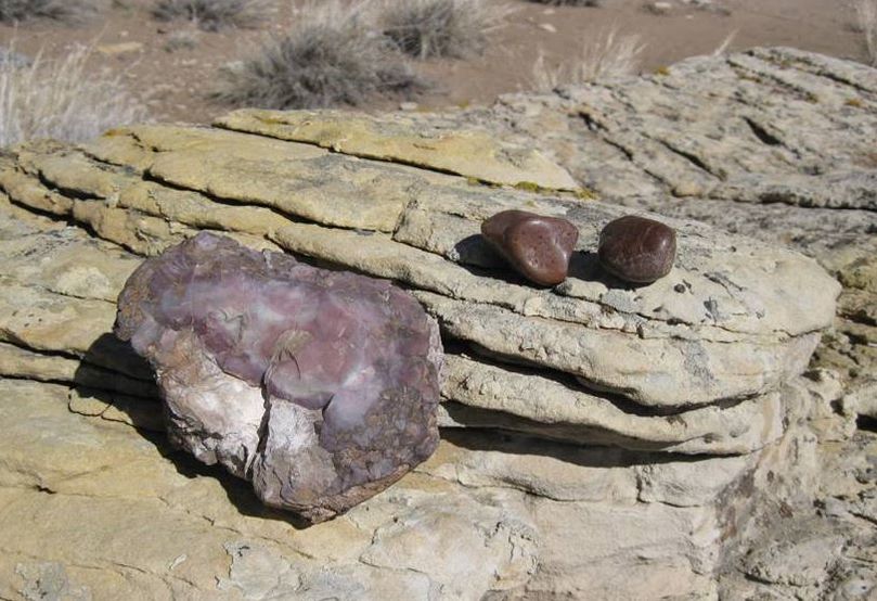 Picture Devil's Kitchen chalcedony and dinosaur gastroliths, Big Horn County, Wyoming