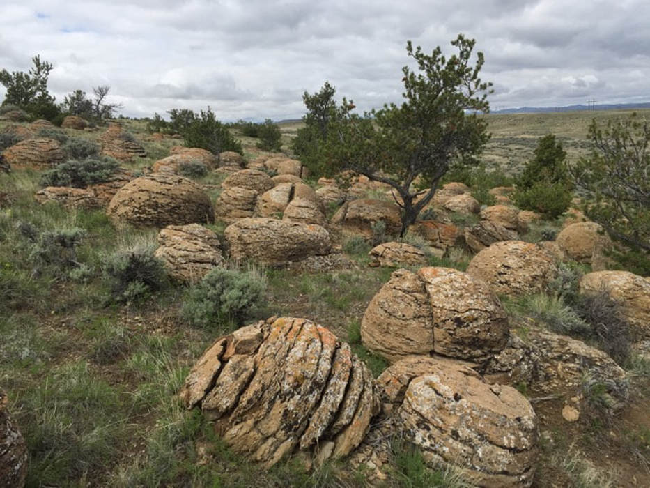 Picture of large concretions at Dinosaur Marbles, Hot Springs County, Wyoming