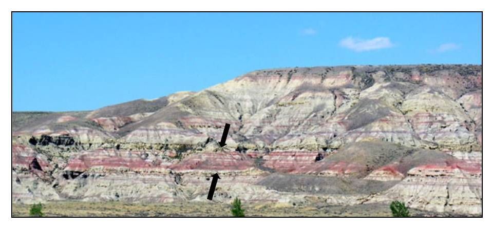 Picture Paleocene Eocene thermal maximum rocks at Polecat Bench, Park County, Wyoming