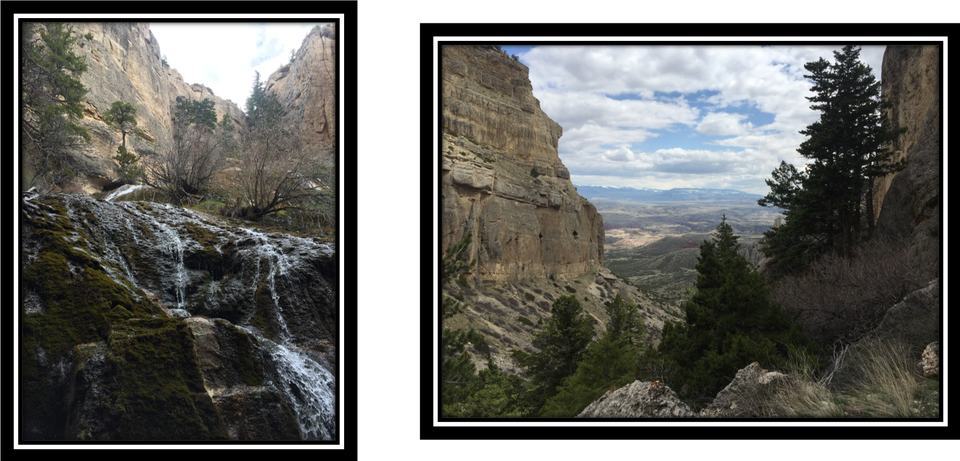 Pictures of spring and canyon at Upper Layout Creek, Bighorn Canyon National Recreation Area, Wyoming
