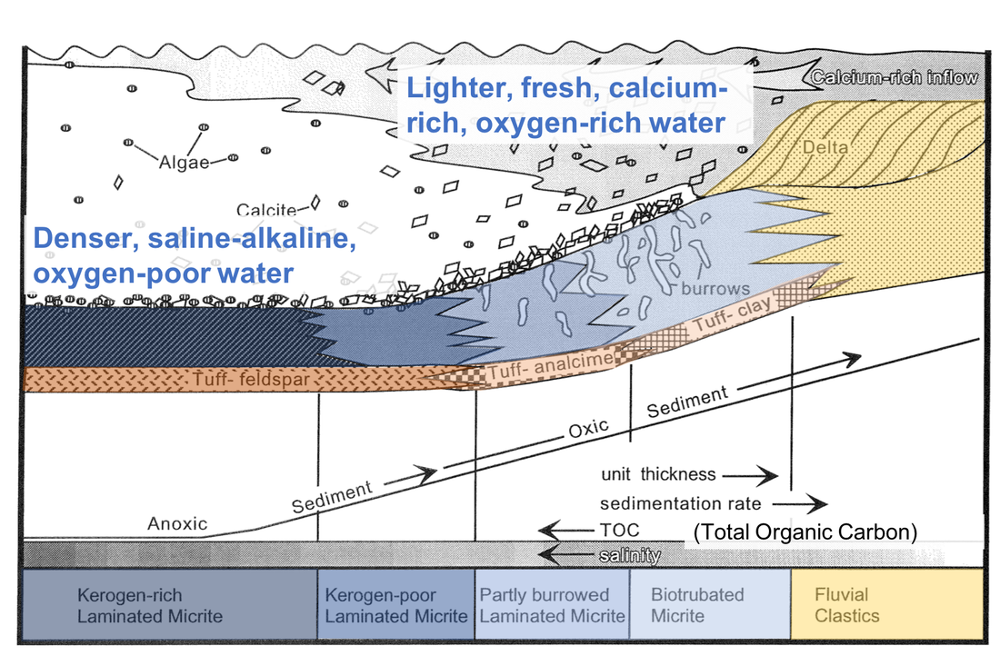 Depositional model of Eocene Fossil Lake, Wyoming