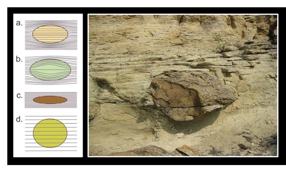 Diagram of concretion growth timing and picture of concretion in Frontier Sandstone, Wyoming