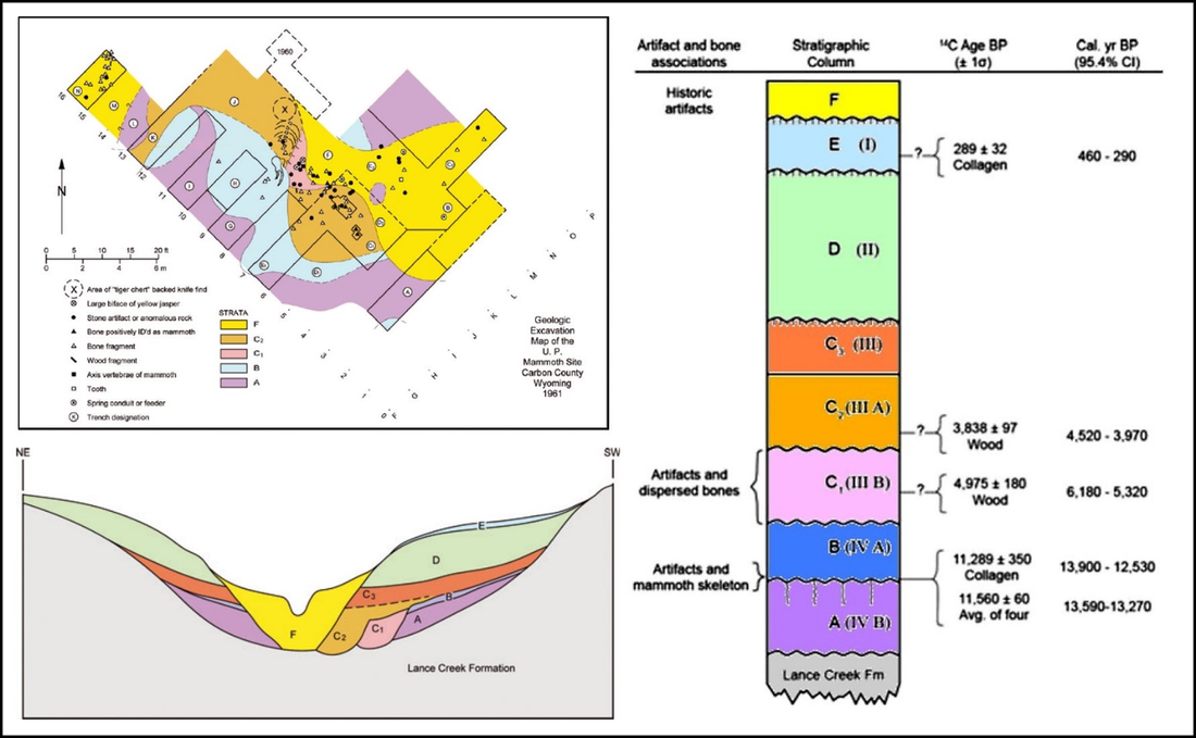 U.P. Mammoth site geologic excavation map, Chicken Springs Valley cross section and Holocene stratigraphic column, Wyoming