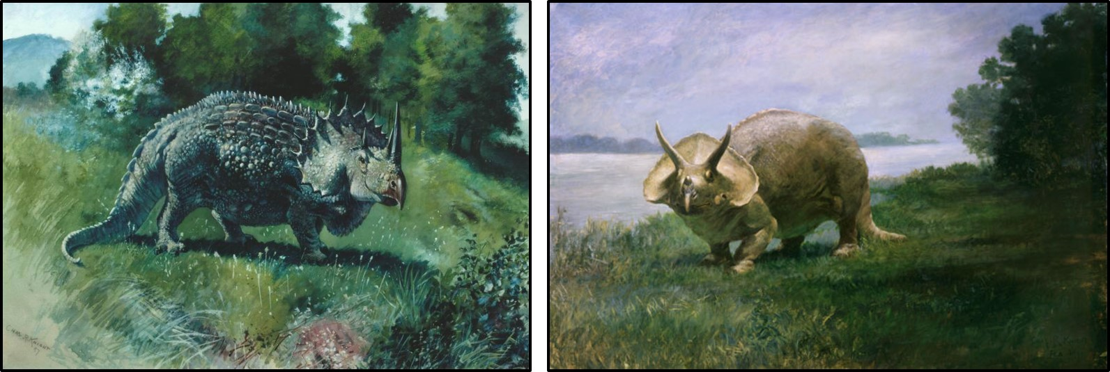 Charles Knight's historic illustrations of Triceratops