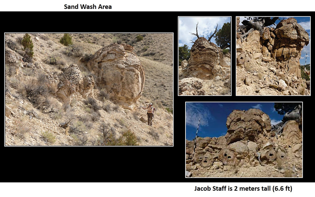 Pictures of giant stromatolites in Eocene LaClede Bed in Sand Wash area, Colorado