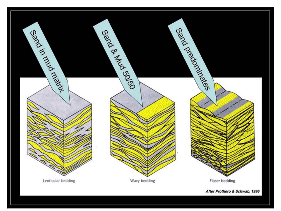 Geologic block diagrams of lenticuilar bedding, wavy bedding and flaser bedding