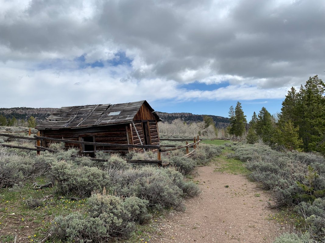 Picture of abandoned cabin at Miner's Delight Ghost Town, Fremont County, Wyoming