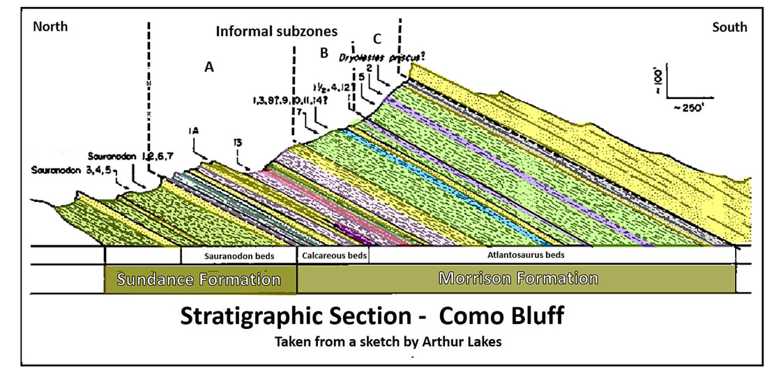 Geologic stratigraphic cross section of Como Bluff, Wyoming