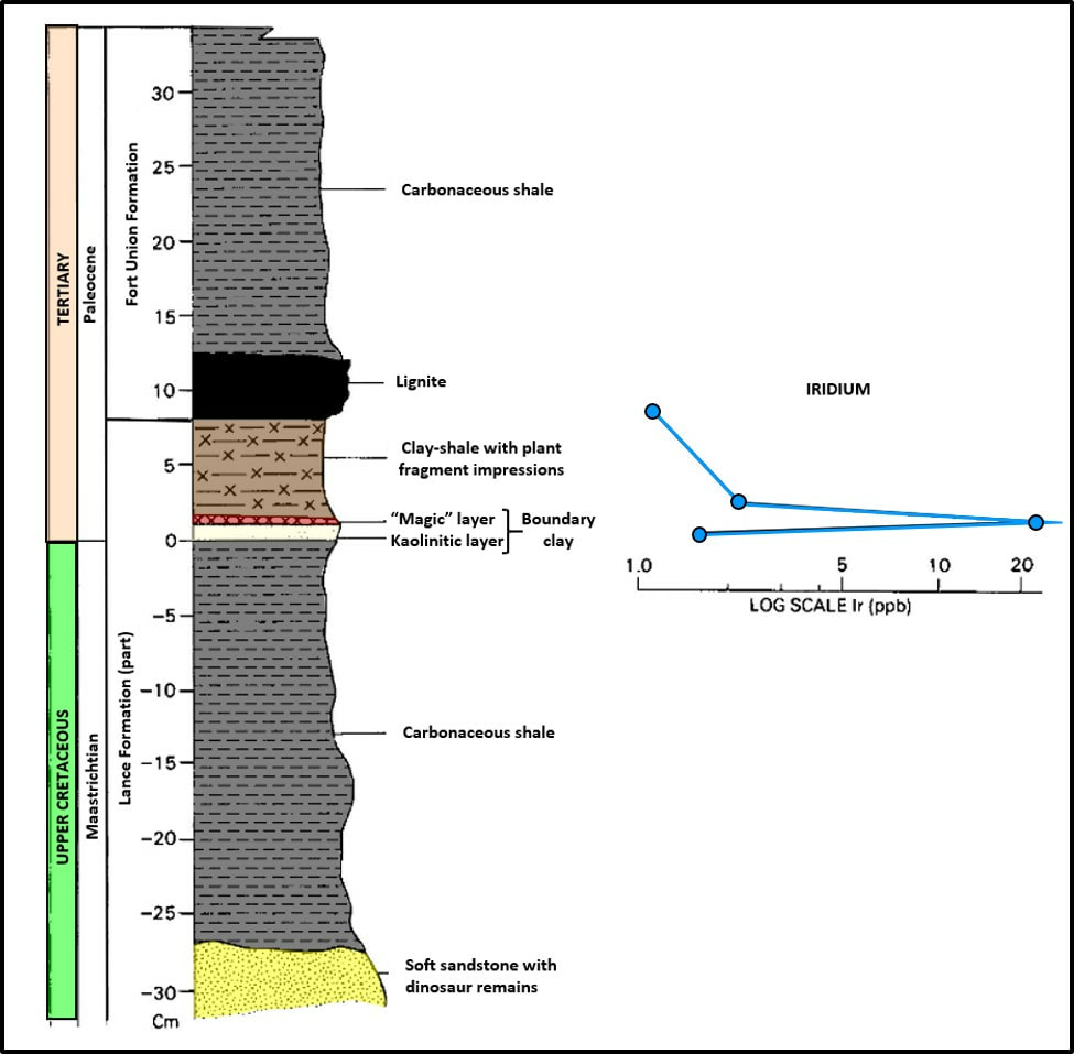 Geologic stratigraphic column of Cretaceous-Tertiary boundary rocks with Iridium concentration graph, Dogie Creek, Wyoming