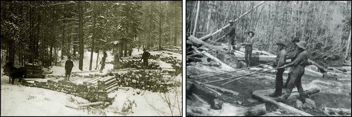 Historic pictures of railroad tie cutting near Encampment, Wyoming