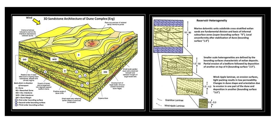 Block diagram of sand dune architecture and reservoir heterogeneity