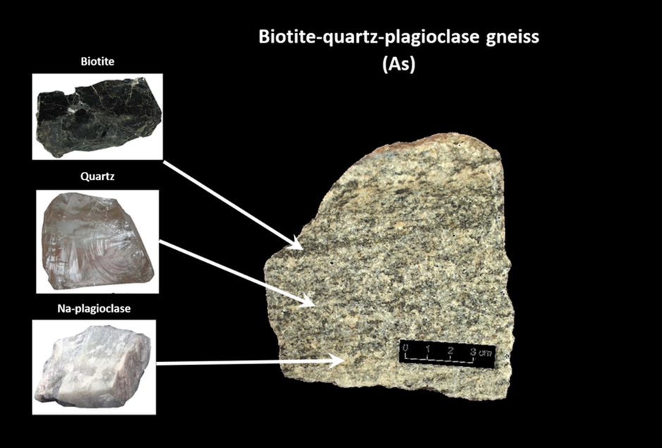 Picture of biotite-quartz-plagioclase gneiss