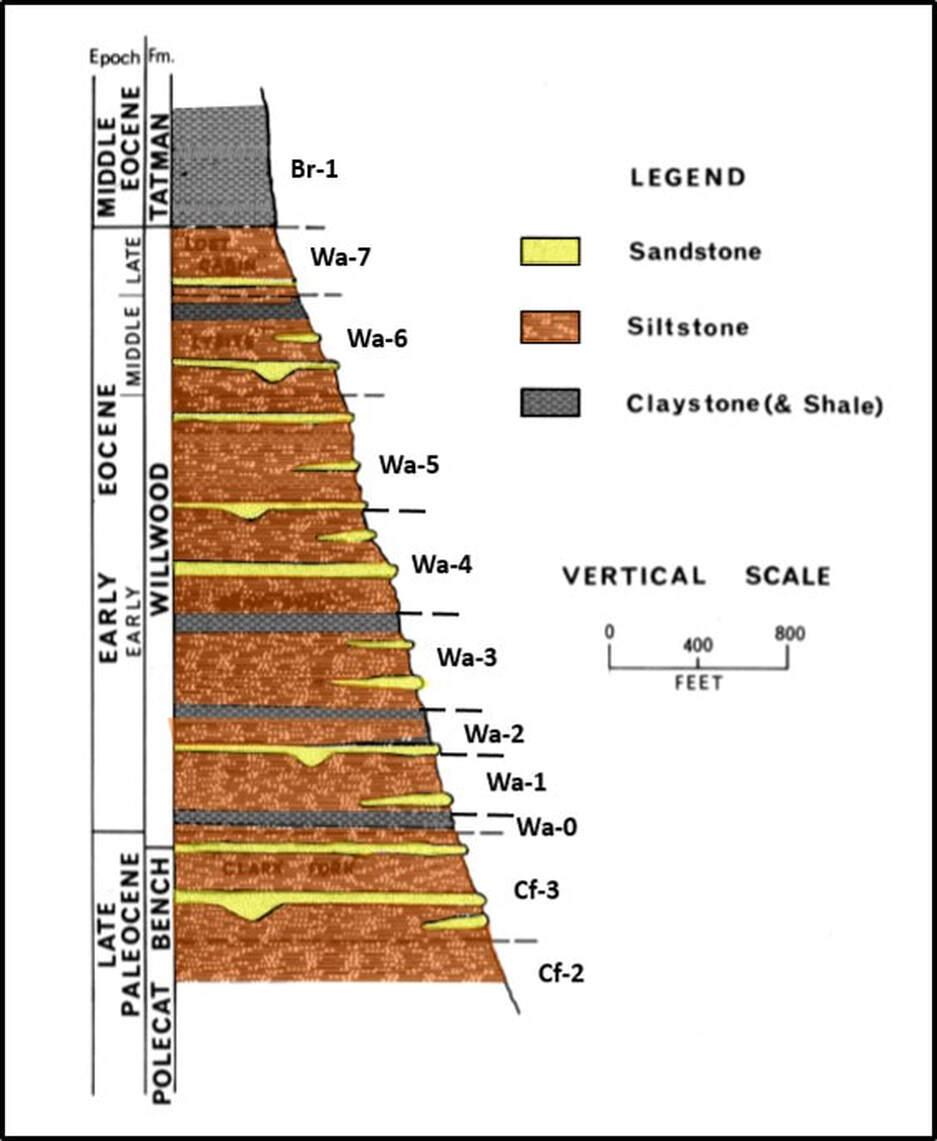 Tertiary Willwood Formation stratigraphic column, Bighorn Basin, Wyoming