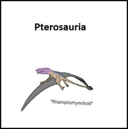 Picture of Pterosauria dinosaur