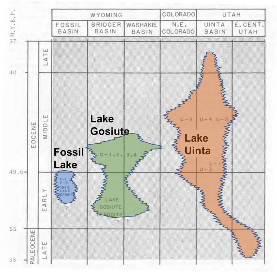 Time and geographic chart of Eocene Green River Lakes