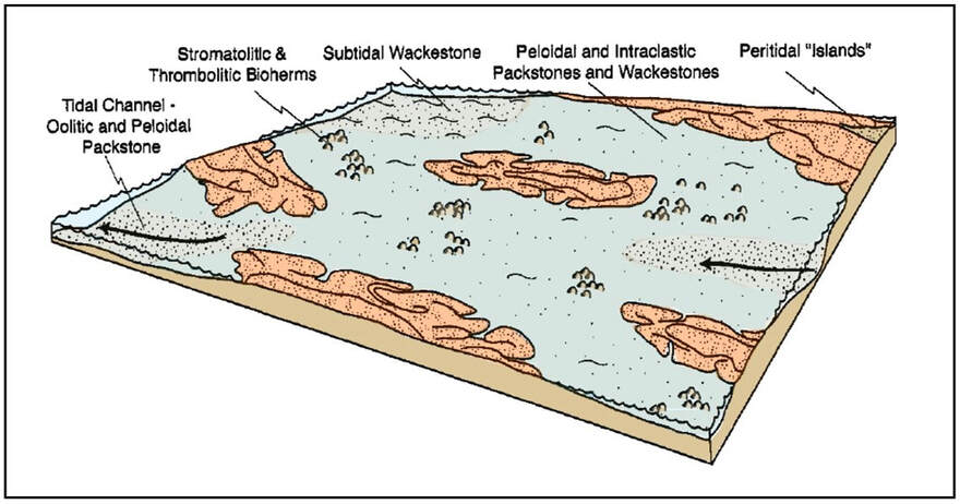 Geologic depositional model for Cambrian Death Canyon Limestone, western Wyoming