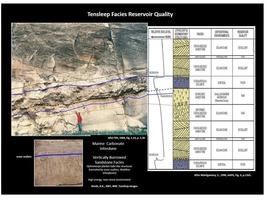 Table of reservoir quality by facies of PennsylvanianTensleep Sandstone, Bighorn Basin, Wyoming