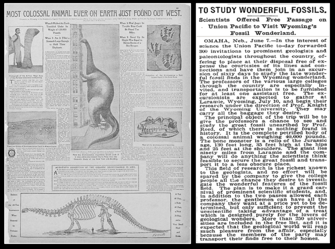 New York Times 1898 article on sauropod discovery at Freezeout Hills, Wyoming and UPRR 1899 invitation for fossil field trip