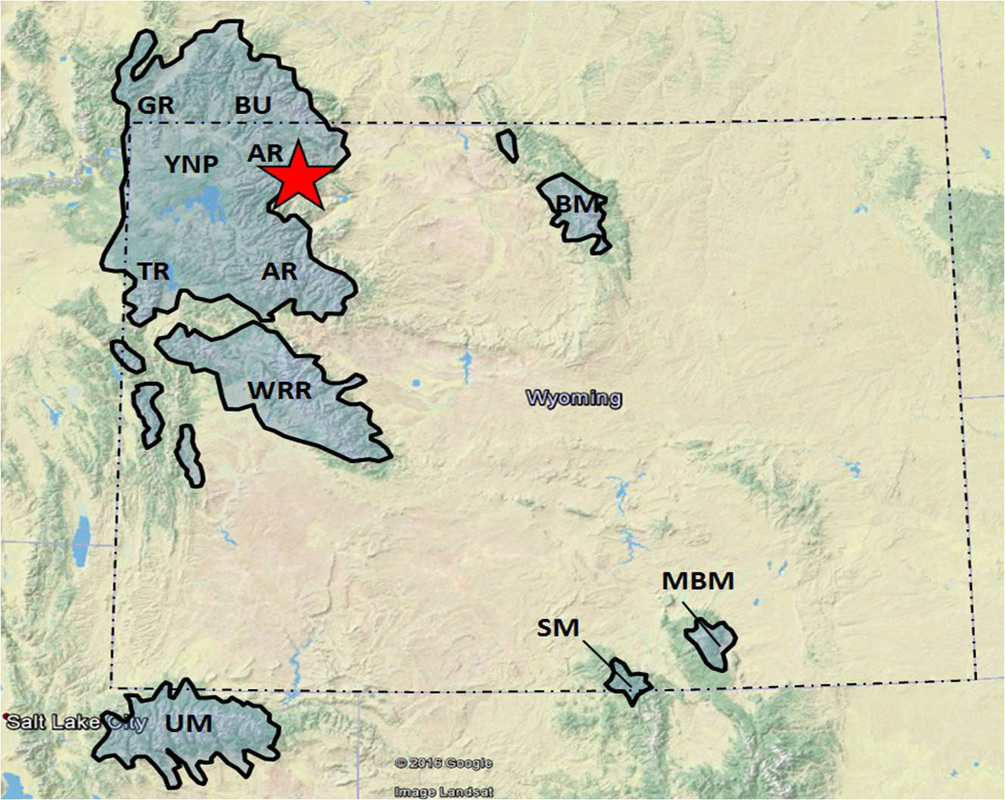 Geologic map of Wyoming glaciation