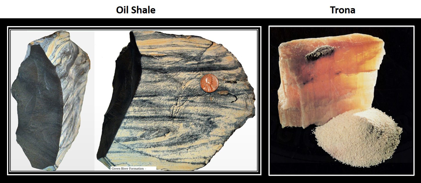Eocene Blue Forest Green River Beds stromatolite fossil slice Wyoming 