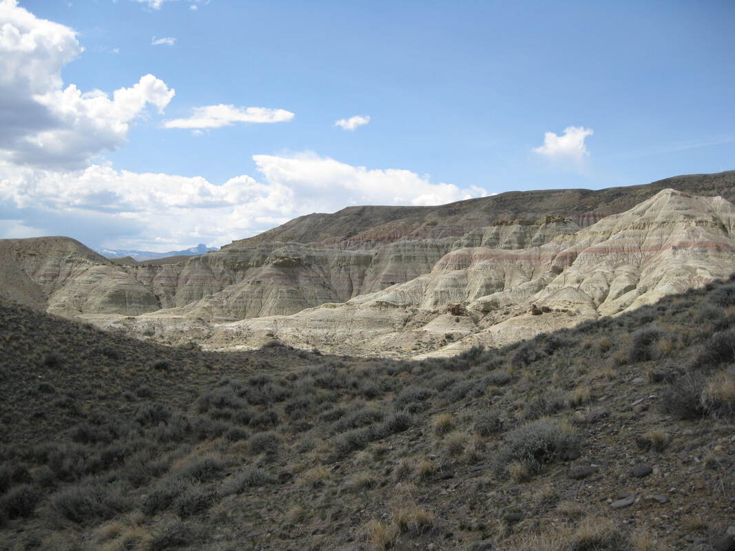 Picture of Paleocene-Eocene Thermal Maximum (PETM) sediments, Park County, Wyoming