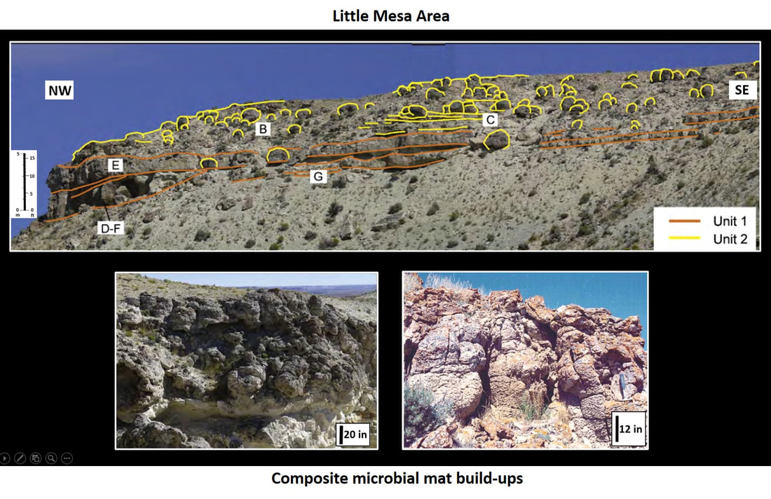 Pictures of Little Mesa area Eocene stromatolites near La Barge, Wyoming