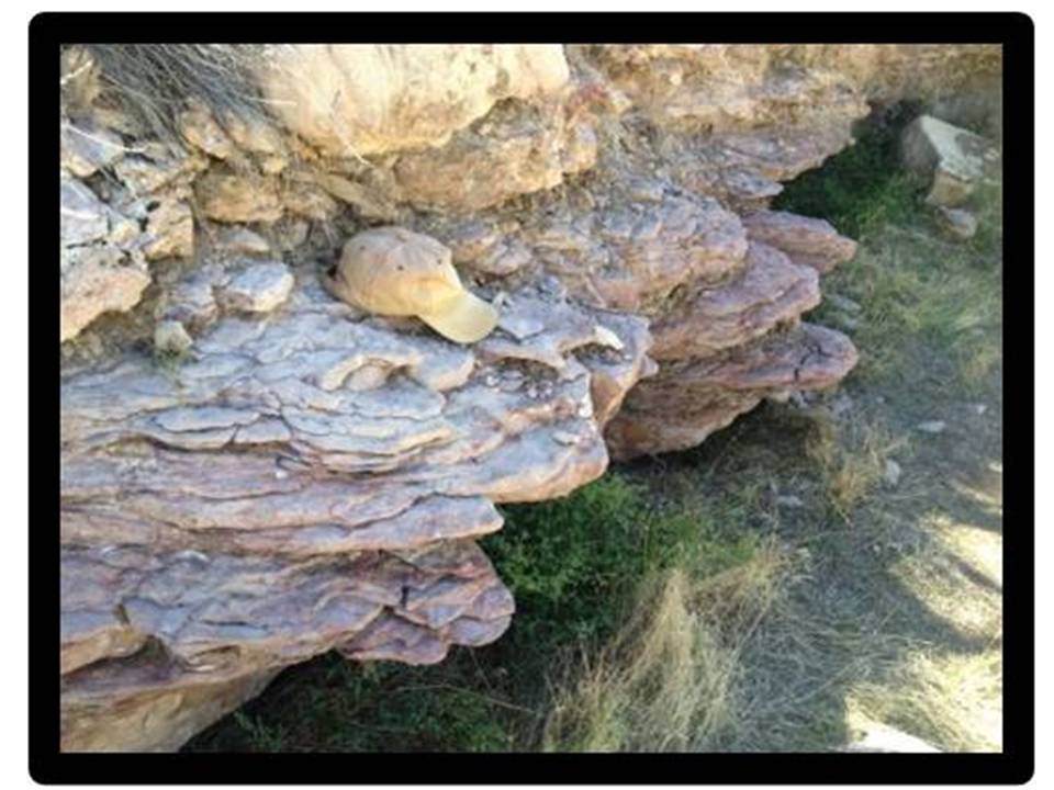 Picture Tensleep dolomitic sandstone at boundary of upper and lower Tensleep, Medicine Lodge, Big Horn County, Wyoming