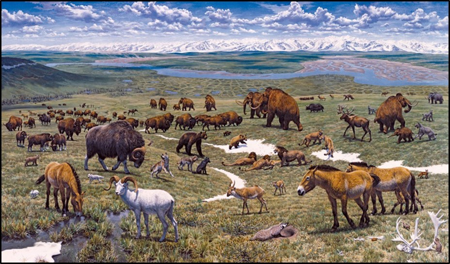 Ice age landscape reconstruction with Pleistocene animals
