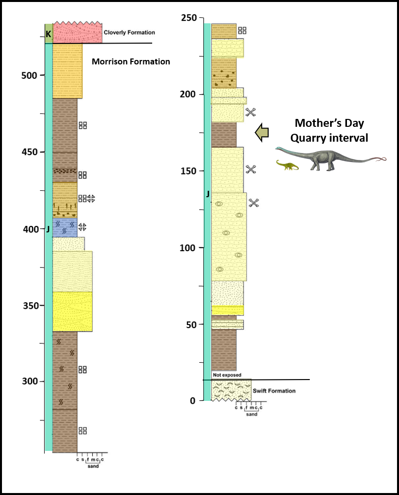 Lithologic column of Morrison Formation at Mother's Day dinosaur quarry near Bridger, Montana