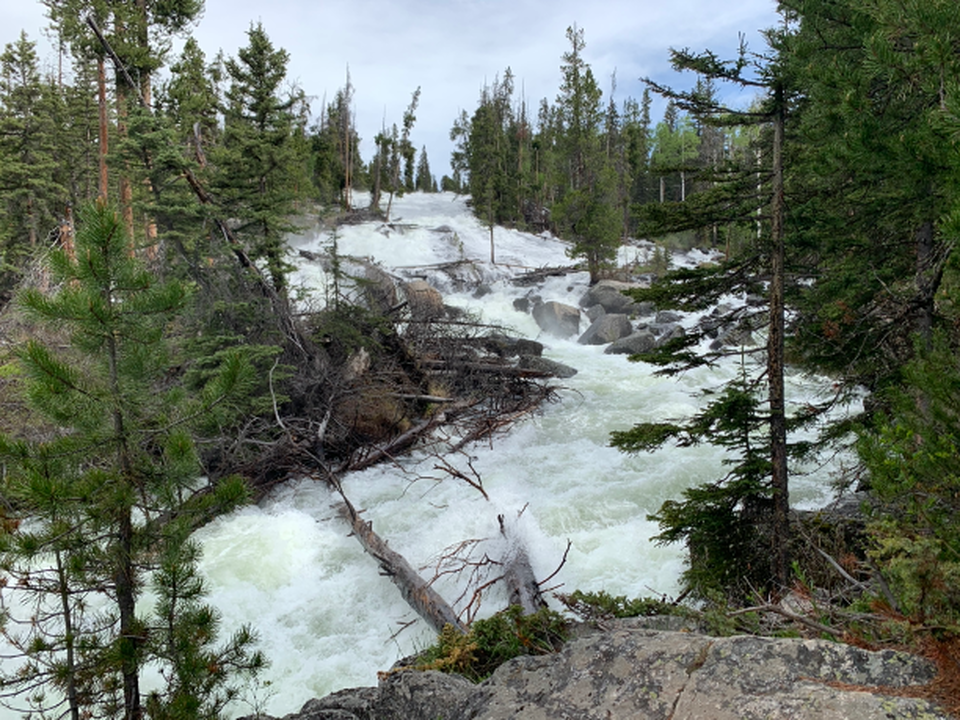 Picture of Crazy Creek Falls in Beartooth Mountains, Wyoming