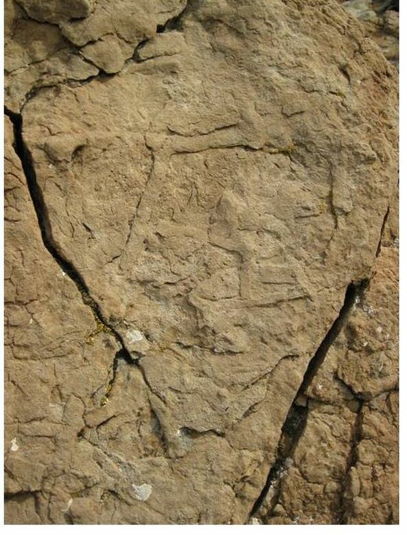 Picture of burrow traces within large concretion, Frontier Formation, Hot Springs County, Wyoming