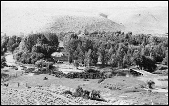 Historic picture of Ed Young's orchard, Little Popo Agie Canyon, Wyoming