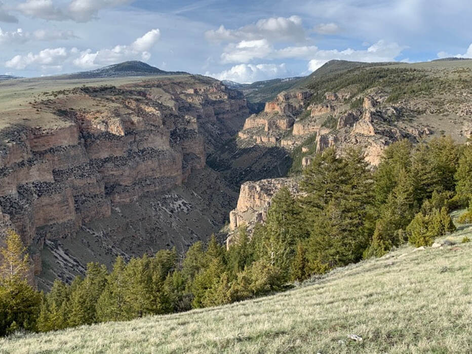 Picture of Medicine Lodge Wilderness Study Area, Big Horn County, Wyoming