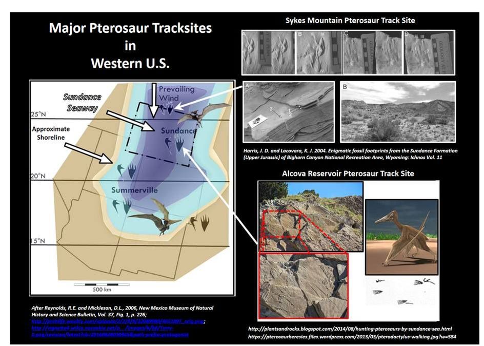 Map of Pterosaur tracksites western US, pictures of Pterosaur tracks