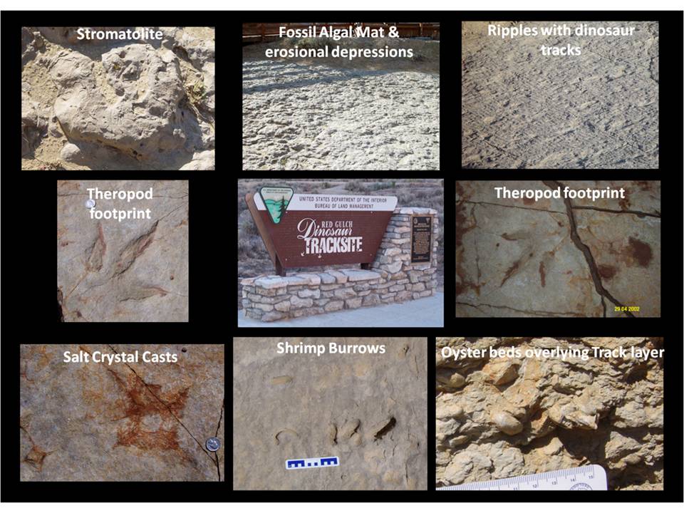 Pictures geologic features at Red Gulch Dinosaur Tracksite, Big Horn County, Wyomig