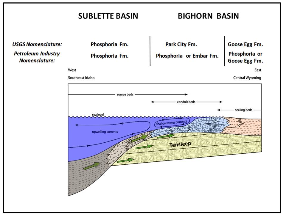 Geologic model Permian rocks, Bighorn Basin, Wyoming 