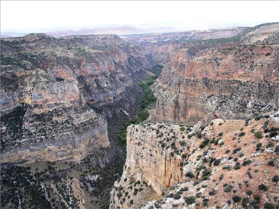 Picture Canyon in Medicine Lodge Wilderness Study Area, Big Horn County, Wyoming