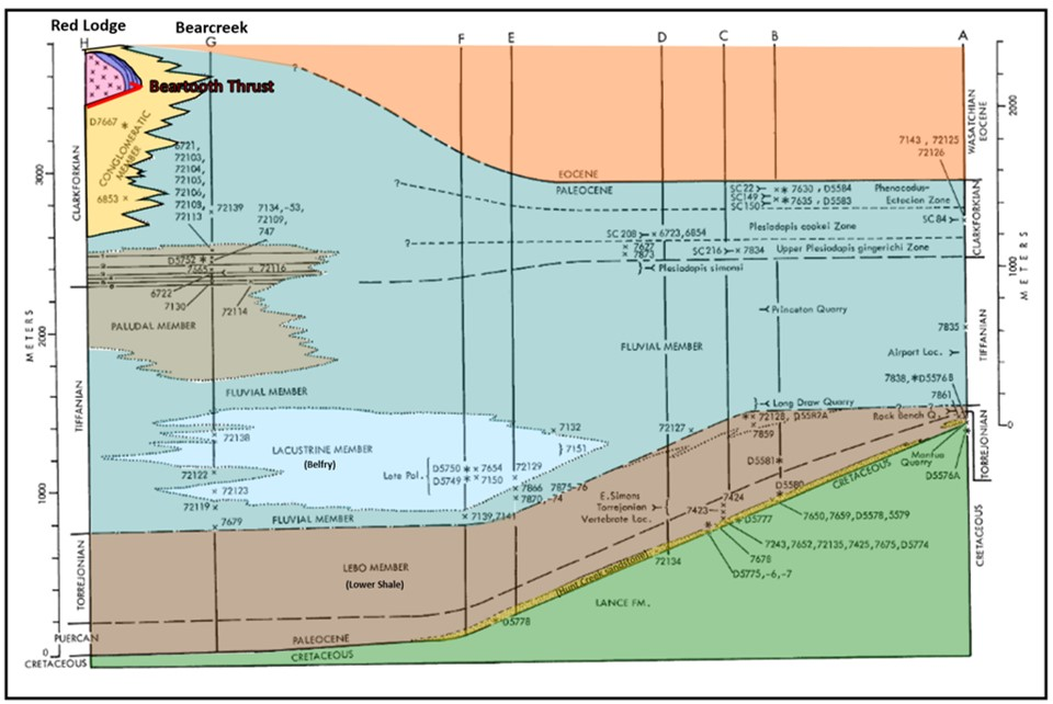 Geologic cross section of Fort Union Formation facies, Northern Bighorn Basin, Wyoming and Montana