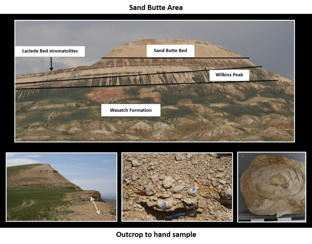 Pictures of Eocene stromatolites in LaClede Bed at Sand Butte area, Sweetwater County, Wyoming