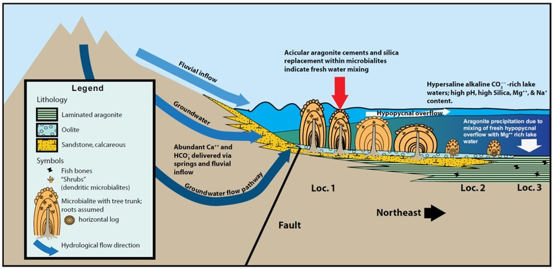 Depositional model of Sand Wash Basin Eocene microbialites and stromatolites, Colorado