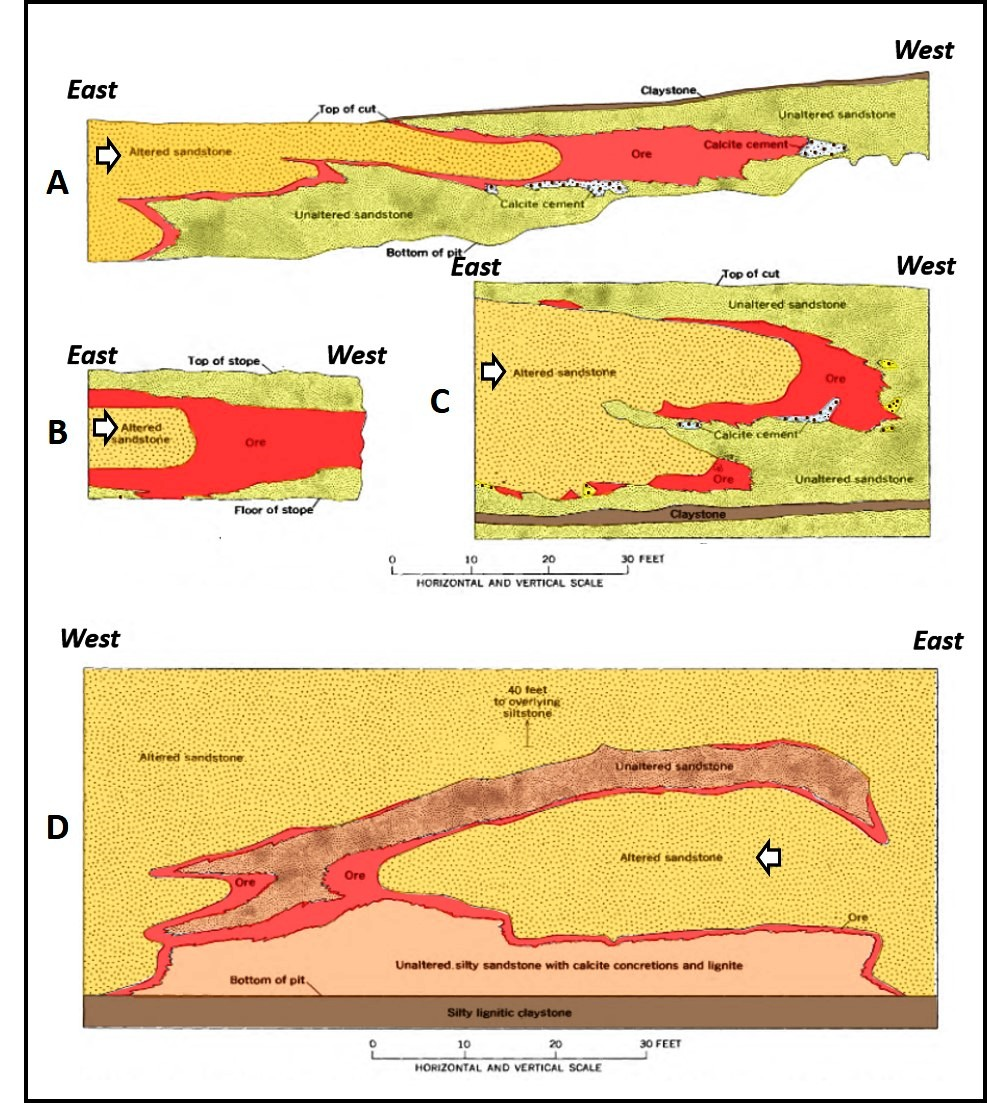 Geology cross sections of Shirley Basin uranium mines displaying roll-front geometry in sandstones, Wyoming