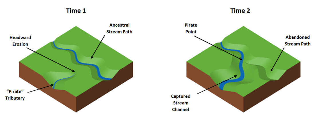 Block diagrams of stream capture